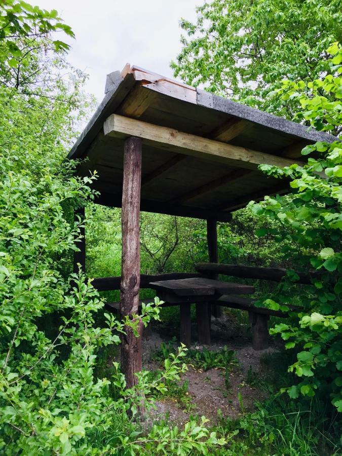 Grossbreitenbach Gaestehaus Hohetanne1 מראה חיצוני תמונה